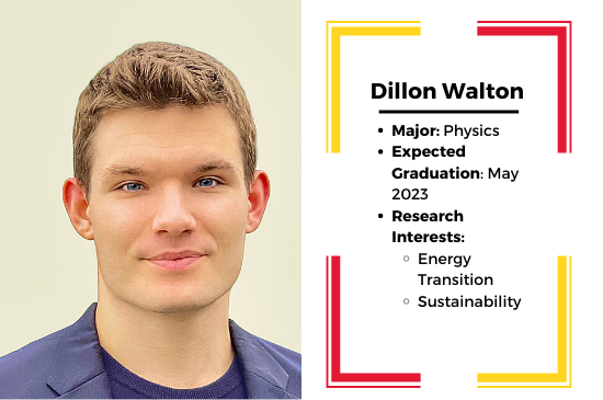 Picture and key facts about dillon