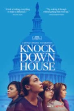 Cover of Knock Down the House poster