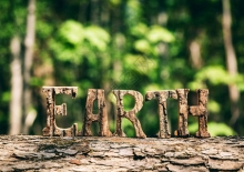 "Earth" written in tree bark on a green leafy background