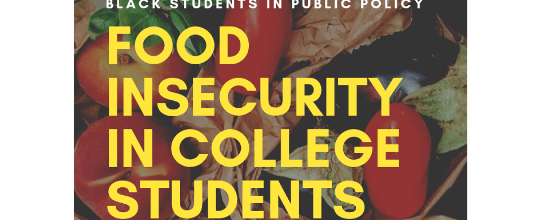 bsipp food insecurity