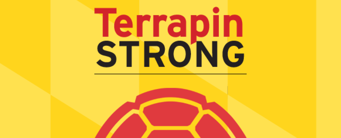 Text: Terrapin Strong on yellow MD flag background with red turtle shell