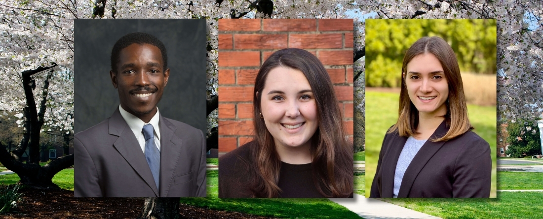 DLS fellows headshots over background of spring tree on campus