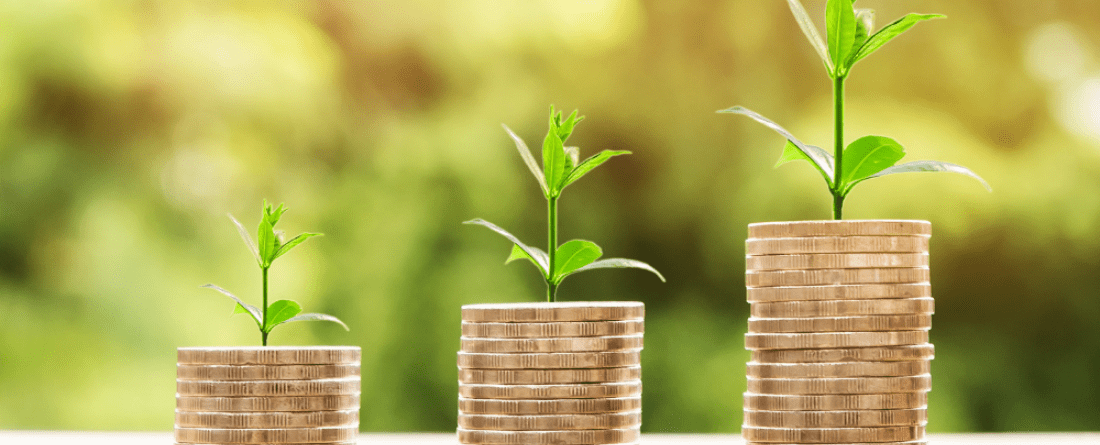 Climate finance, coins and plants