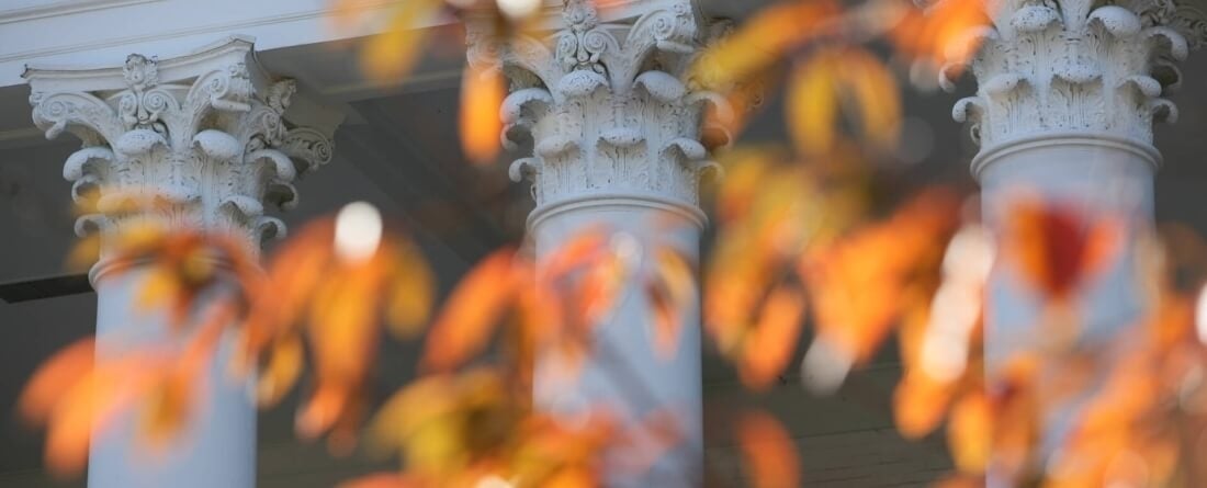 columns with leaves