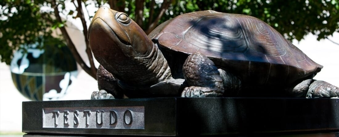 image of Testudo