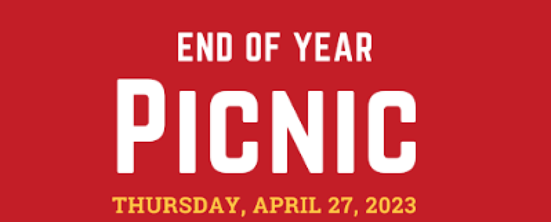 Details about the picnic