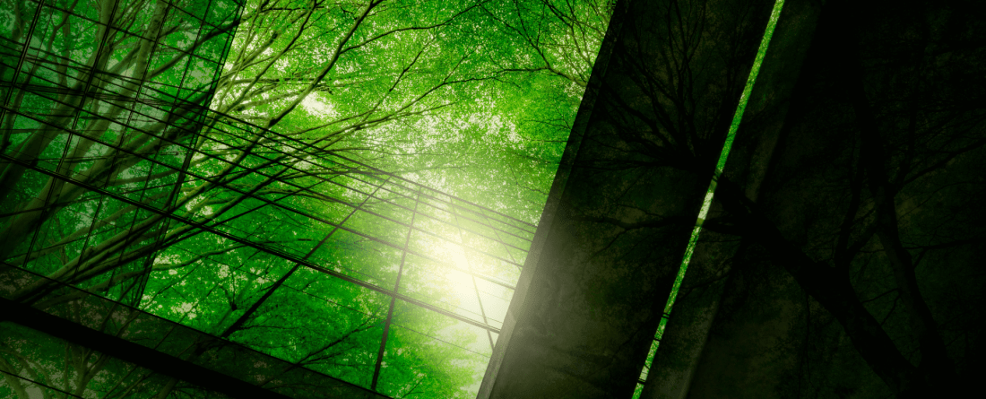 image of trees reflecting off of a wall of windows