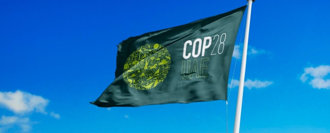 picture of COP28 flag