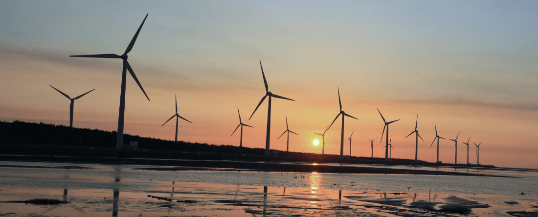 wind turbines, land, and water, sunset