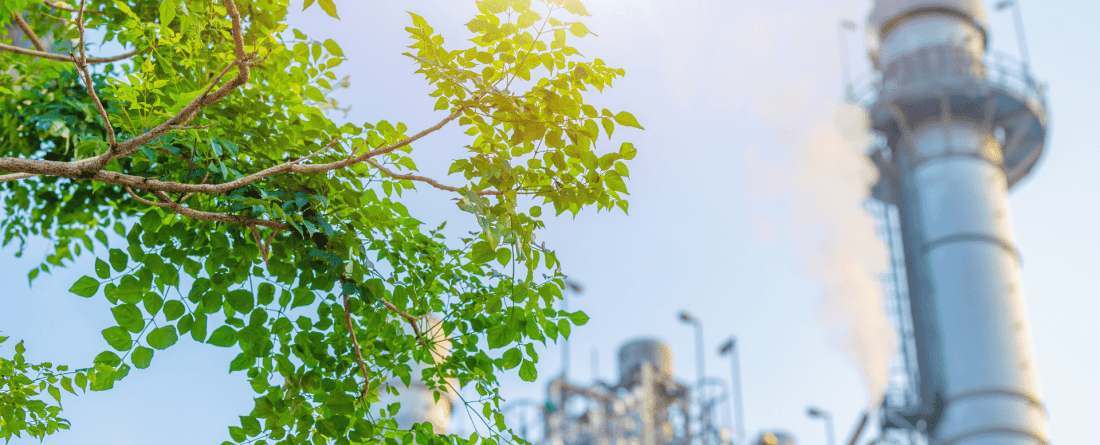picture of tree with industrial plant in background