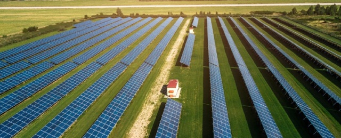 picture of solar panel farm