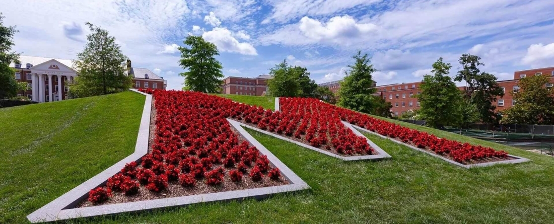 image of letter M filled in with red flowers against green grass backdrop and clear blue skies
