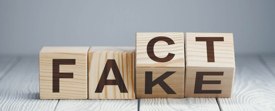 blocks spelling out "fact" and "fake"