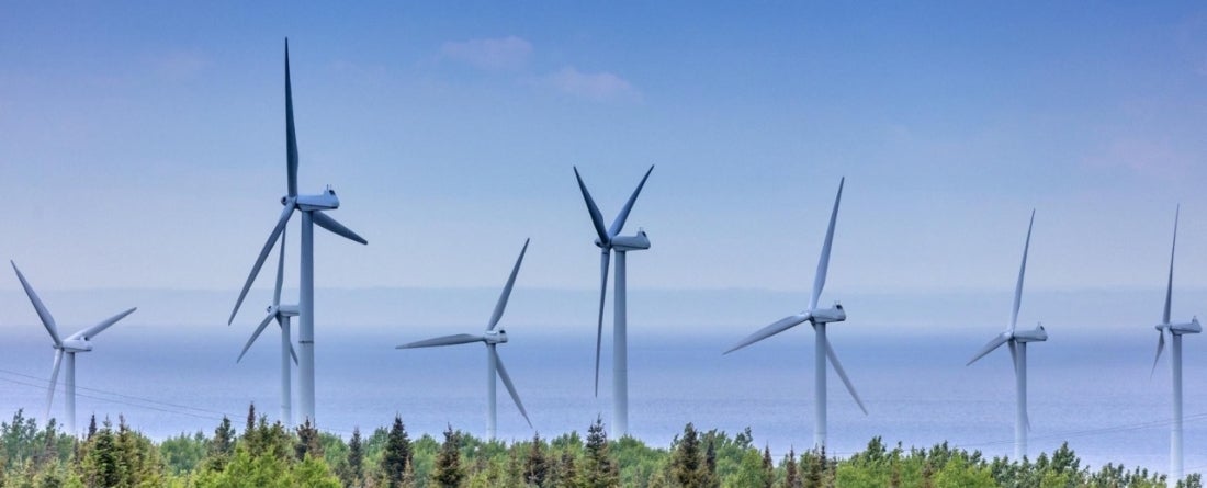 picture of wind turbines next to a forest