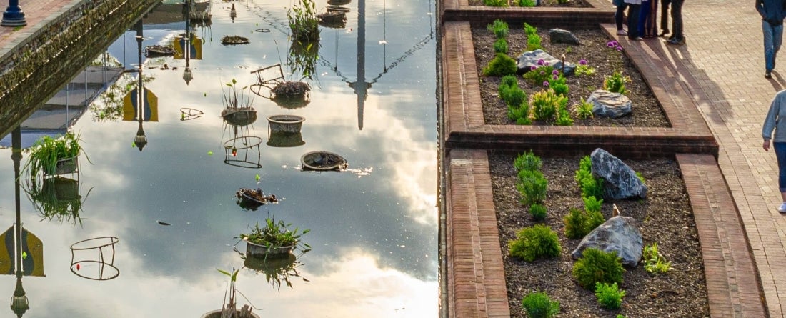 image of Carroll Creek Linear Park; image by Adobe Stock user riebevonsehl
