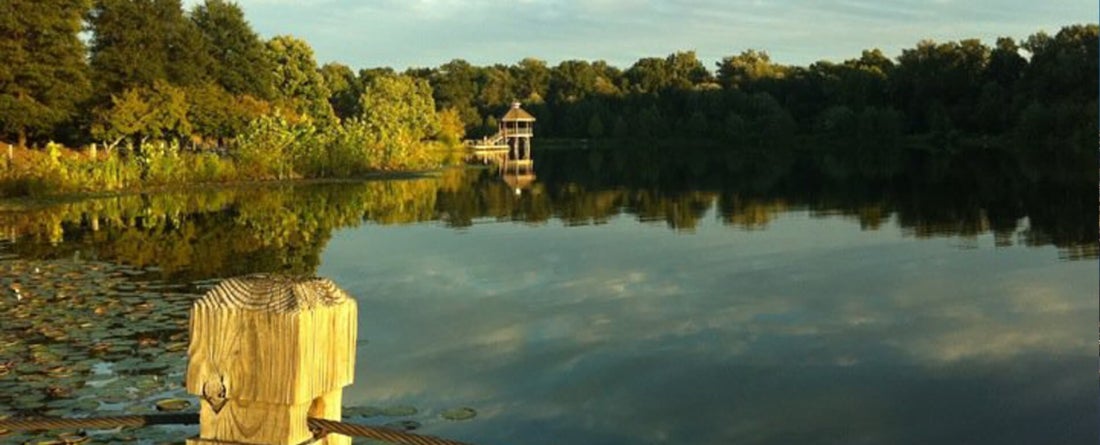 Lake Aertemesia Pier; Wikimedia Commons; image by Pim Linders: This file is licensed under the Creative Commons Attribution-Share Alike 4.0 International, 3.0 Unported, 2.5 Generic, 2.0 Generic and 1.0 Generic license.