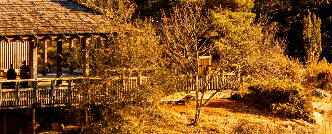 image of Whearon Regional Park; photo by Adobe Stock; user Grandbrothers