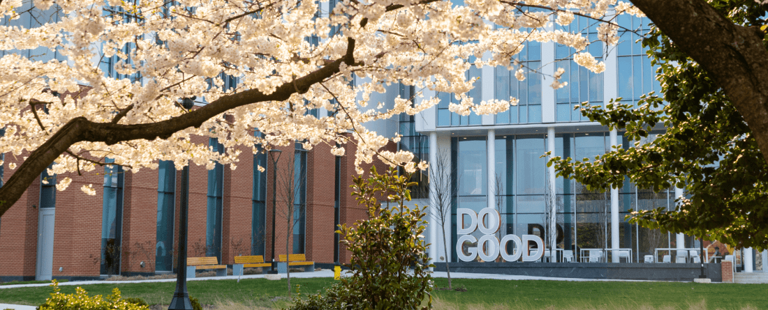 Do Good Sign with Cherry Blossom Tree in full bloom