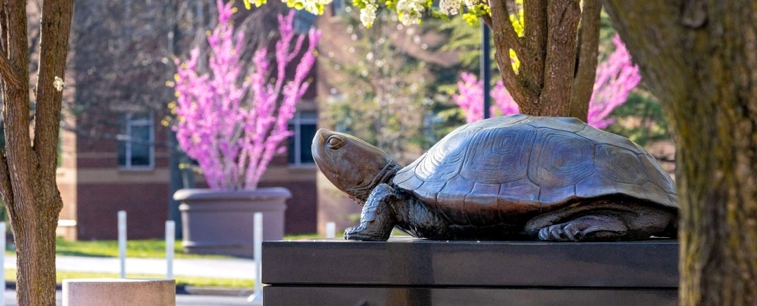 Testudo statue with purple flowers
