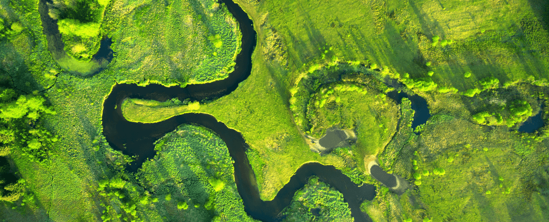 An aerial view of a river running through a green area.