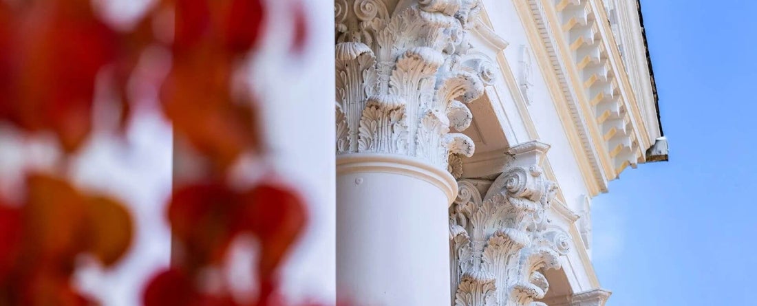 image of a column of a building with fall reddish brown leaves in the forteground
