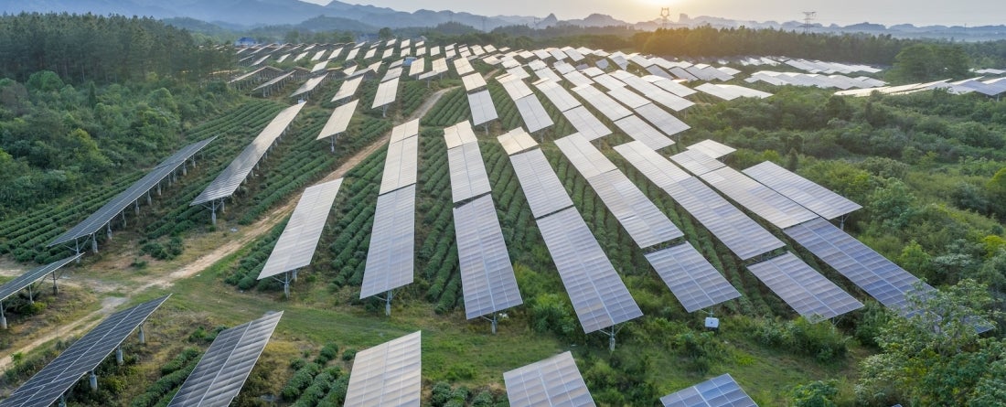 Solar panels lining a field in rural China